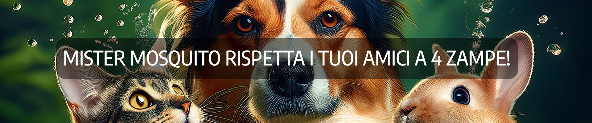 Sistema Mister Mosquito